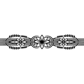 Intricate Floral Border, Celtic , Decorative Element vector