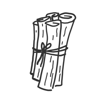 Bunch of cinnamon sticks, bark brown spice hand drawn. Sketch with rolled cinnamons. Spicy seasoning, condiment aromatic ingredient for cooking, backing. png