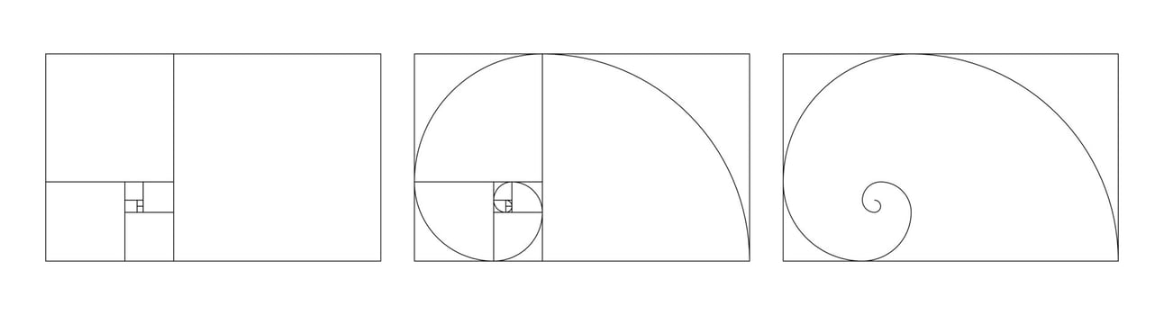 Template of golden ratio harmony proportions. Fibonacci numbers array set. vector
