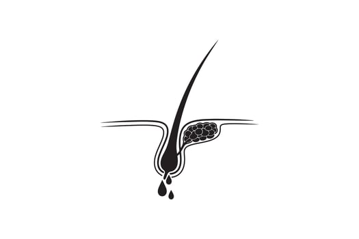 Human Hair Root and Sebum Gland Silhouette Design vector