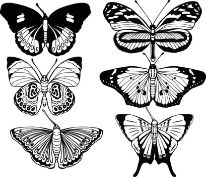 High quality hand drawn butterfly illustration set vector