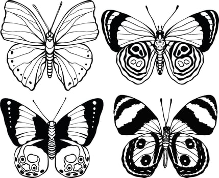 the butterfly illustration set vector