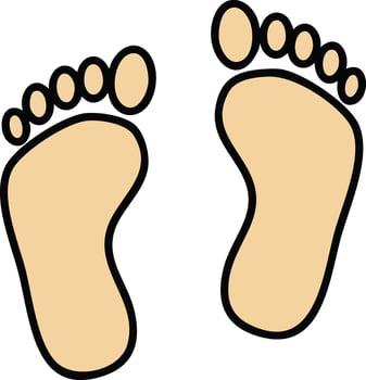 Human feet illustration with toes detailed outline design for medical and health concepts vector