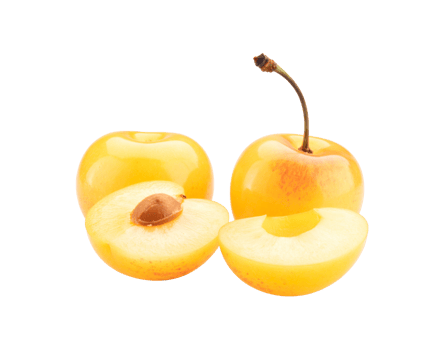 Fresh Yellow Rainier Cherries with Stem and Sliced Halves Displayed. png