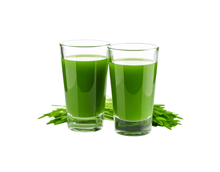 Two Glasses of Vibrant Green Wheatgrass Juice with Fresh Sprouts. png