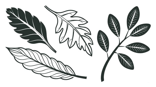 Diverse botanical leaf collection featuring various foliage shapes and detailed nature inspired illustrations perfect for design projects and seasonal themes vector