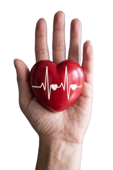 Hands embrace a red heart symbolizing love, health, and vitality against a transparent background png