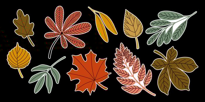 Autumn Leaf Stickers Set, Hand Drawn Illustration vector