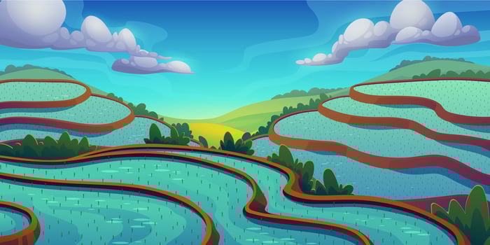 Lush green rice terraces landscape vector