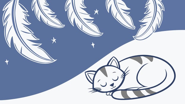 A cat sleeping on a bed with feathers vector