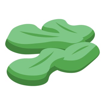 Green algae floating on water surface, isometric illustration vector