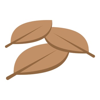 Three dried bay leaves falling on white background vector