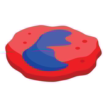 Monocyte immune cell engulfing bacteria with pseudopods in isometric view vector