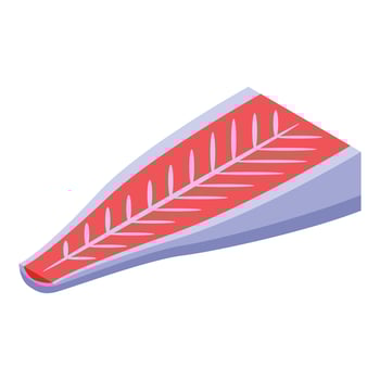 Fresh salmon fillet showing red meat and white fat isometric view vector