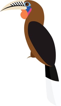 Rufous-necked Hornbill, Aceros nipalensis vector