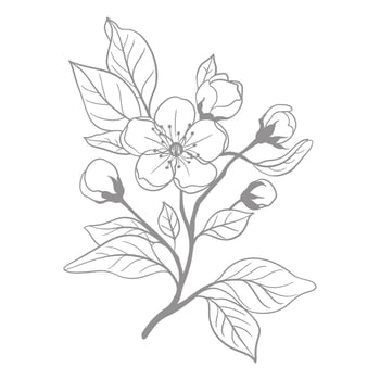 A drawing of a branch with flowers and leaves vector