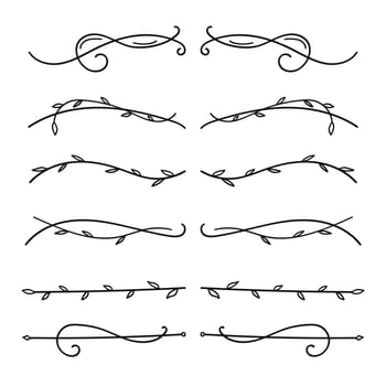 Hand drawn line dividers and floral flourishes set. illustration. vector