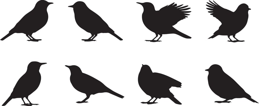 Eight Black Bird Silhouettes Traced Graphic Set Various Poses Simple Line Art Black and White Bird Illustrations vector