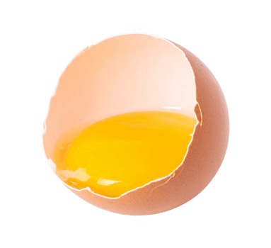 Half shell egg with visible golden yolk png