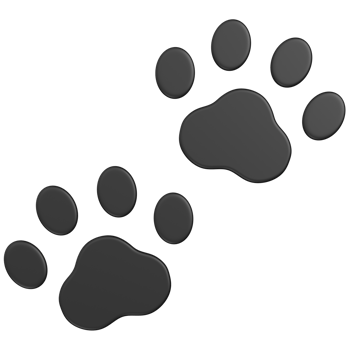 3d render Black Paw Prints icon png