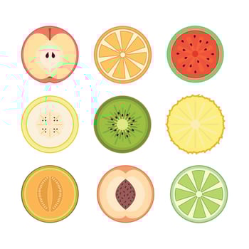 Colorful slices of various fruits vector