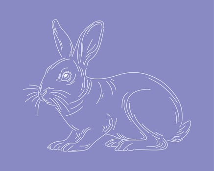 Rabbit bunny outline clip art animal illustration easter element isolated editable vector