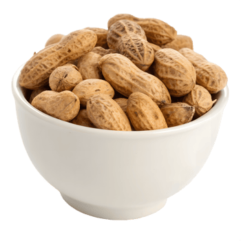 Bowl of unshelled peanuts isolated on transparent background png