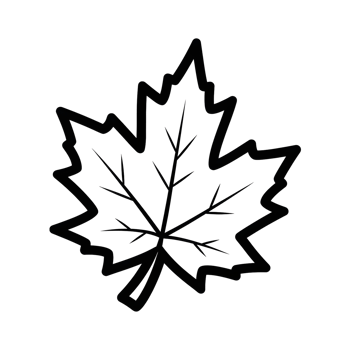 Simple white outline maple leaf illustration graphic design png