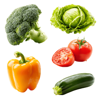 Assortment of fresh wet vegetables including broccoli cabbage tomato pepper and zucchini isolated on transparent background png