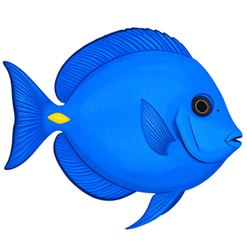 Blue Tropical Fish Illustration on Transparent Background png