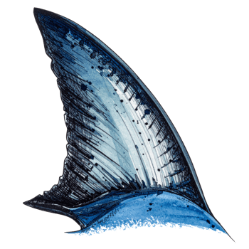 Blue Shark Fin Illustration on Transparent Background png