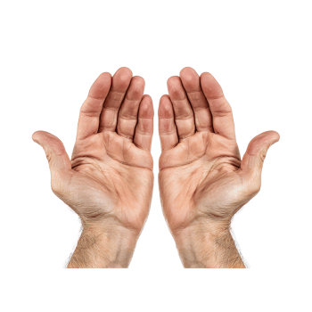 Two open human hands reaching upwards palms facing the viewer isolated on transparent background png