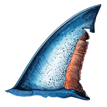 Blue and Orange Shark Fin Watercolor Illustration png