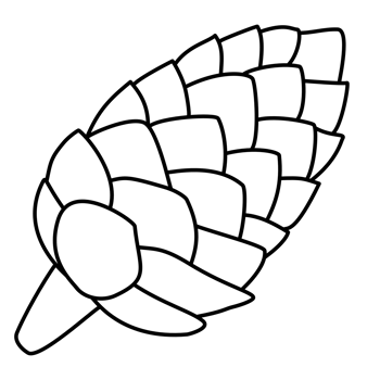 Pine cone outline png