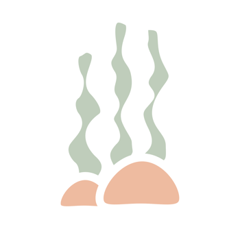 an illustration of a coral reef on a transparent background png