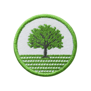 Circular embroidered patch features green tree on transparency background, bordered by green edge. design is simple and nature themed, evoking sense of growth and environmental awareness png
