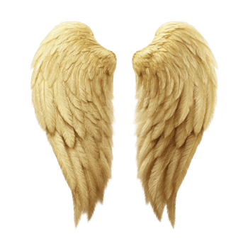 Golden angel wings with detailed feathers, symbolizing freedom and spirituality. wings are symmetrical and have soft, ethereal appearance, evoking sense of peace and divinity png