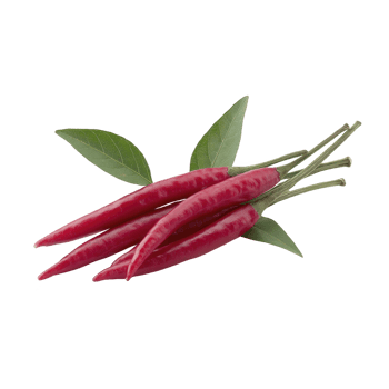Fresh red chili peppers with green leaves on transparency background, showcasing their vibrant color and natural texture. Perfect for adding spice and flavor to culinary dishes png