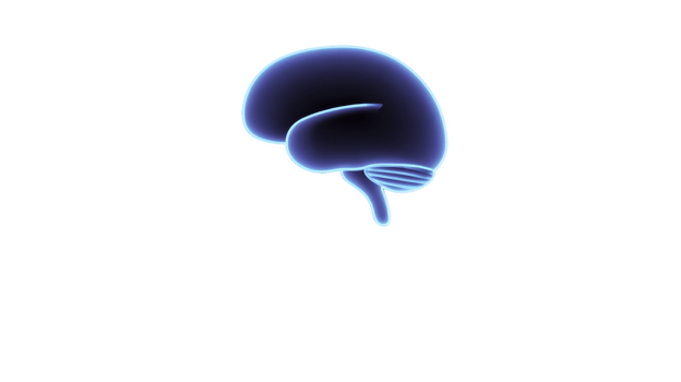 Glowing blue brain illustration on transparency background, showcasing stylized and futuristic design. image highlights brain contours and structure, evoking sense of innovation and technology png