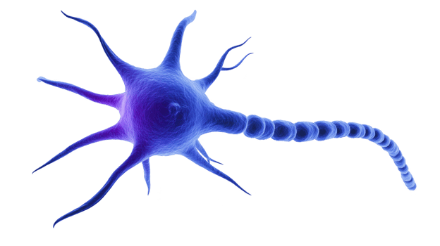 Detailed 3D illustration of neuron cell with glowing blue and purple body, showcasing its complex structure including dendrites and axon. image highlights intricate design of neural cells png