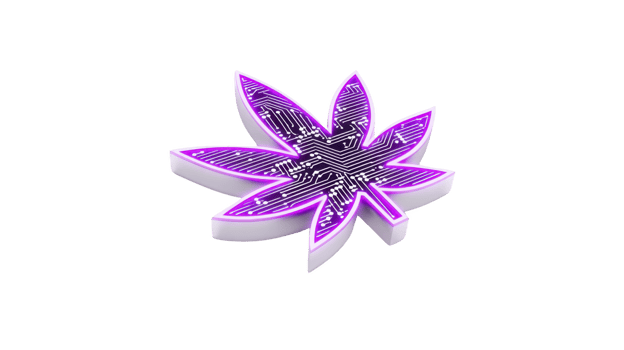 Glowing purple cannabis leaf with circuit board pattern symbolizes intersection of technology and nature. futuristic design highlights innovation in cannabis industry png
