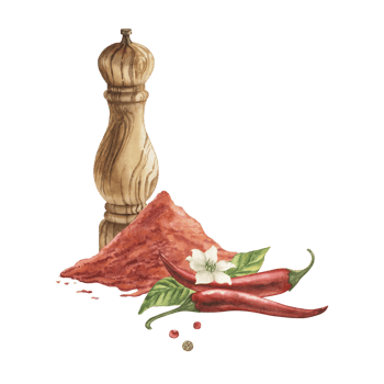 A composition with pods of red hot pepper and salt, a wooden mill, a mound of ground paprika, with leaves and a flower. The illustration with spices is hand-painted in watercolor in a botanical style png