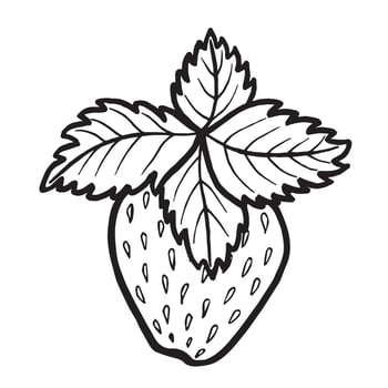 Strawberry with leaves hand drawn illustration for food product desing. Fresh berries black and white sketch, organic healthy food. Summer fruit in line art style for cosmetic. vector