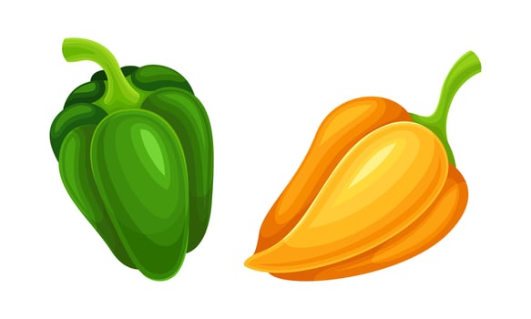Green and orange pepper fresh organic healthy vegetable set illustration vector