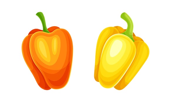 Yellow and orange fresh ripe pepper bell vegetable set illustration vector