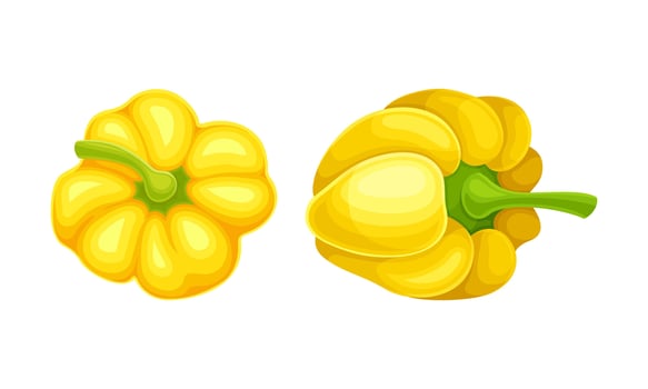 Yellow ripe pepper bell vegetable set illustration on white background vector