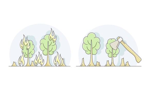 Ecological disasters set. Fires and industrial deforestation lined illustration vector