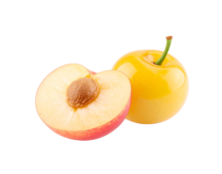 Fresh Yellow Plum and a Half with Pit Closeup. png