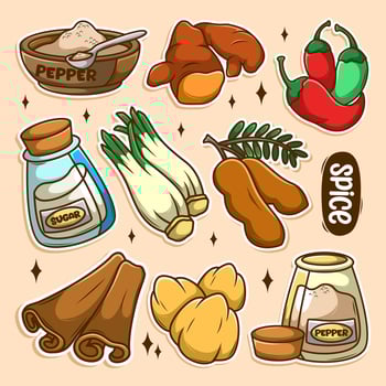 Doodle Cooking spices hand draw style vector