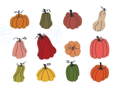 Collection of hand-drawn pumpkins and gourds in various shapes and colors with black stems, leaves, and vines in flat style on white background vector